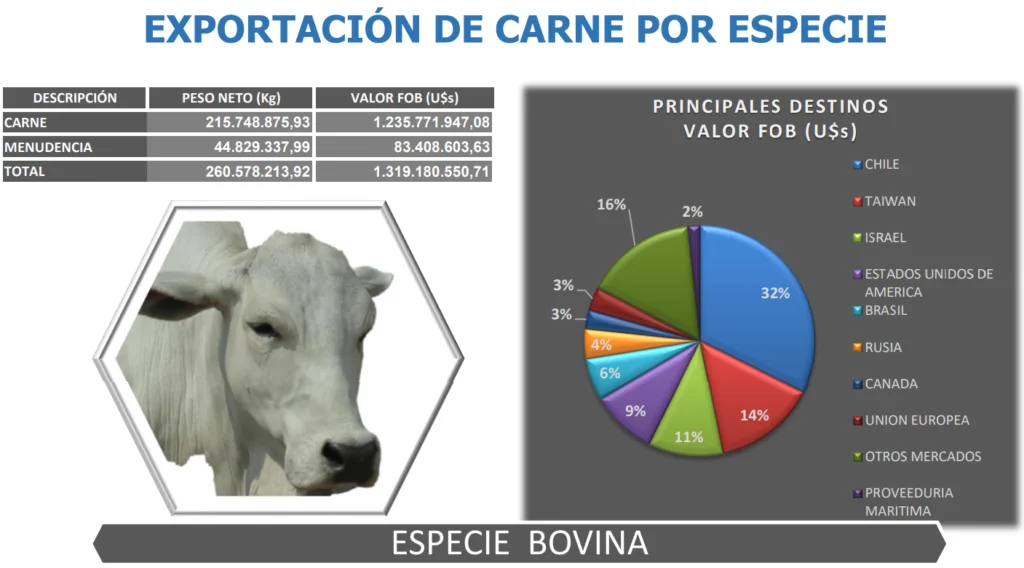 Esta imagen tiene un atributo alt vacío; el nombre del archivo es Captura-de-pantalla-2025-08-01-150235-1024x568.png
